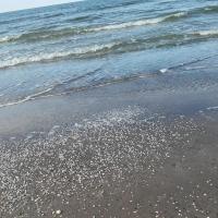 , mokunka