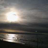 , mokunka