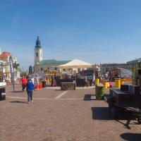 Oradea, Tadeusz Walkowicz