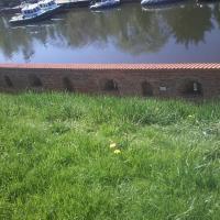 , Margaretka