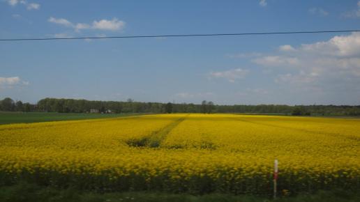 7.05.2016r. W drodze do Trzyńca, Tadeusz Walkowicz