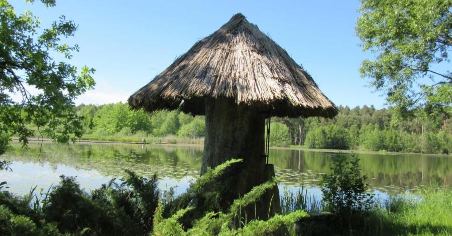 Stradomia Wierzchnia-zalew i Arboretum Leśne - zdjęcie
