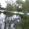 , mokunka