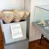 Muzeum Rybołówstwa Morskiego, Anja