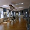 Muzeum Rybołówstwa Morskiego, Anja