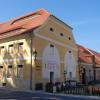 1. Pałac w Łomnicy, Danusia