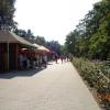 ZOO, Danusia