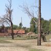 ZOO, Danusia