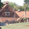 ZOO, Danusia