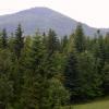 Mogielica, Marcin M