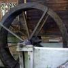 , Joanna