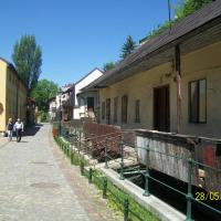 , mirosław