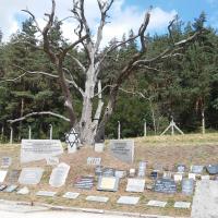 , mokunka