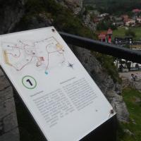 , mokunka