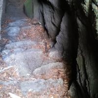 , mokunka