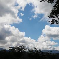 , mokunka