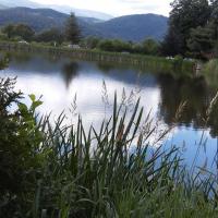 , mokunka