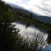, mokunka