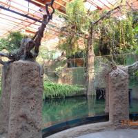 Afrykarium, Danusia