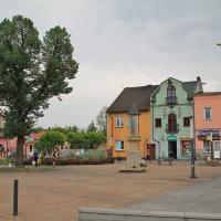 Żarki
