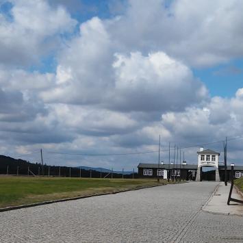 , mokunka
