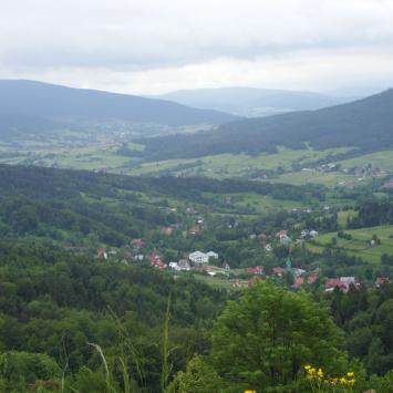 w drodze do Myślenic, Marcin M