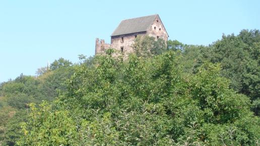 Zamek Świny, Danusia