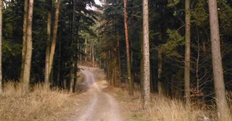 Czupel, Gaiki, Przegibek - zdjęcie