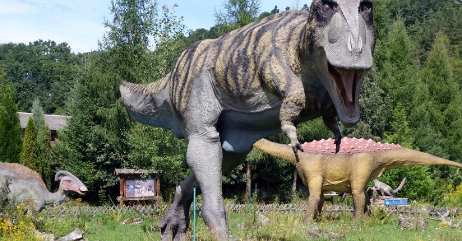 Tropem dinozaurów - Bałtów - zdjęcie