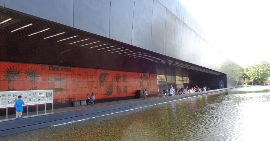Wrocławskie Afrykarium - zdjęcie