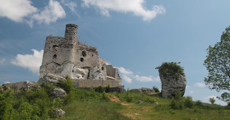 Mirów i Bobolice - zdjęcie