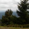 , mokunka