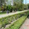 Park Zdrojowy, Danusia