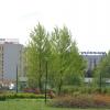 Nowsza część uzdrowiska, Danusia