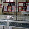 Muzeum Filumenistyczne, Anja