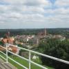 Golub-Dobrzyń, marian