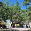 Wyrzutnia