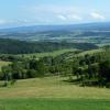 , Marcin M