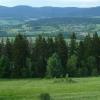 , Marcin M