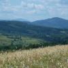 ładnie, co? :-), Marcin M