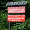 , Marcin M
