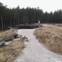 , mokunka