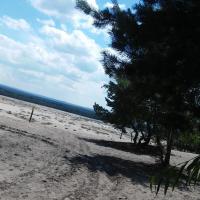 , mokunka