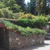 , mokunka