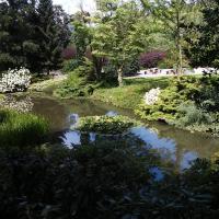 , mokunka