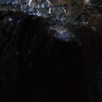 , mokunka
