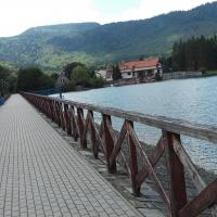 , mokunka