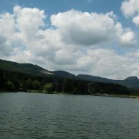 , mokunka