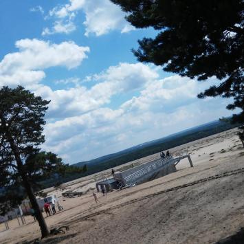 , mokunka
