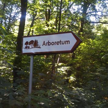 , mokunka